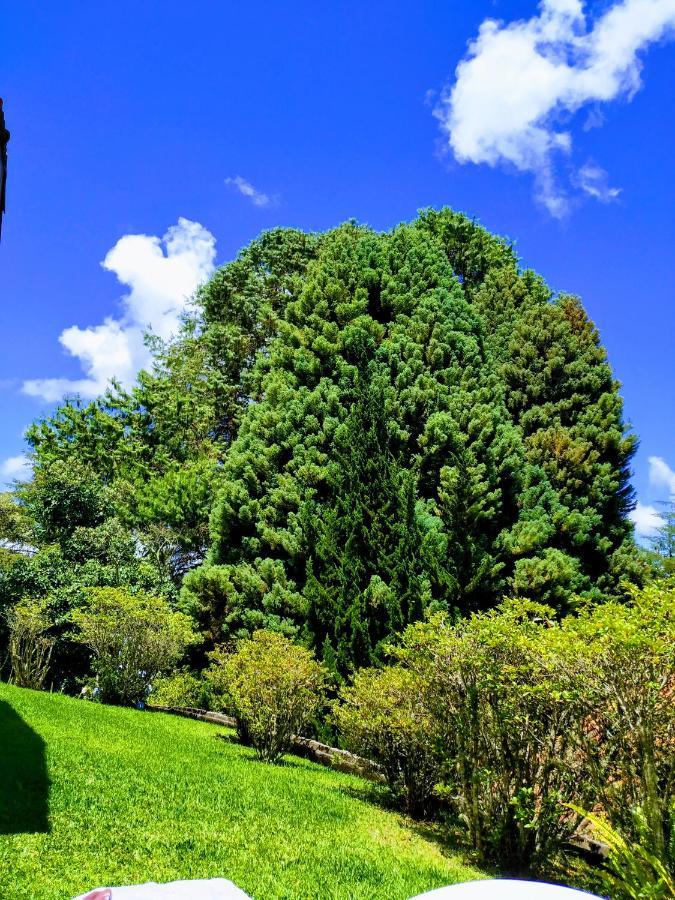 Quinta Das Flores Hospedaria Campos do Jordao Dış mekan fotoğraf